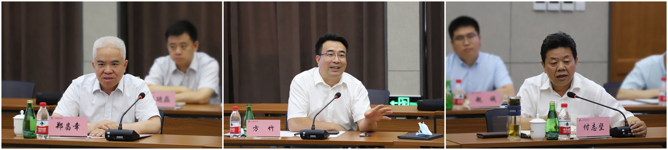 光影魔術手拼圖.jpg 光影魔術手拼圖.jpg